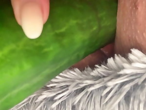Masturbationen with regard to cucumber
